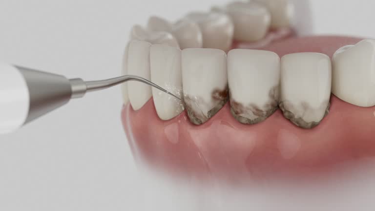 Reliable Dental contractor in Mount Pleasant, MI by Dentist Open Now